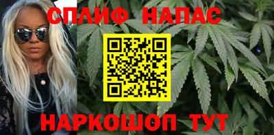 гидра Лесосибирск