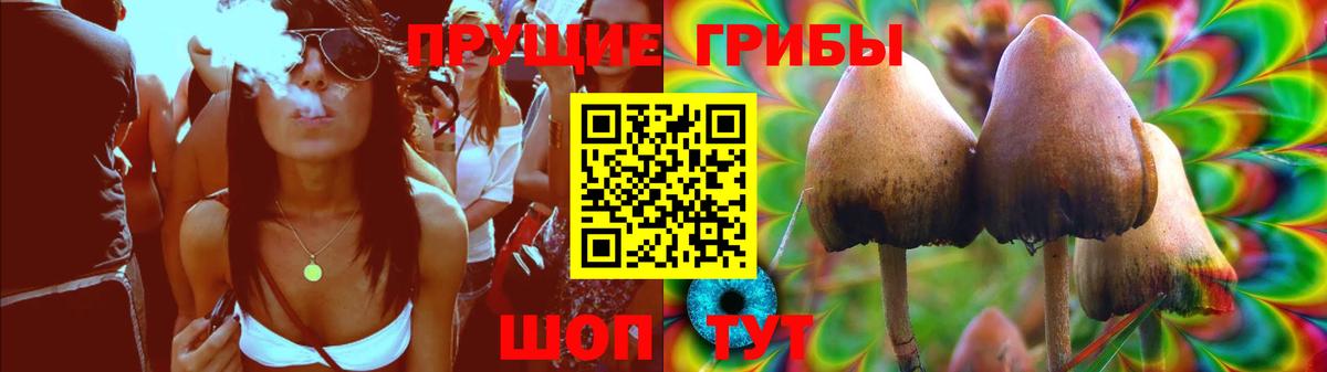 Псилоцибиновые грибы GOLDEN TEACHER Горячий Ключ